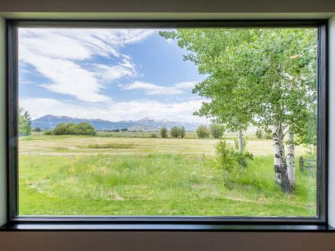 Through the large rectangular window, a grassy field with a birch tree and distant mountains unfolds on a sunny day, embodying personalized architecture that brings nature's beauty into your home.